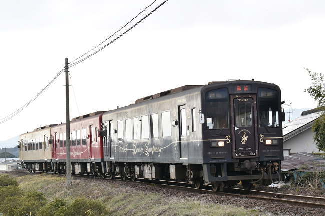 KT501、KT502、KT503