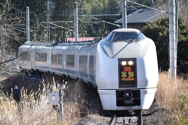 祖母島駅に到着する特急「草津3号」