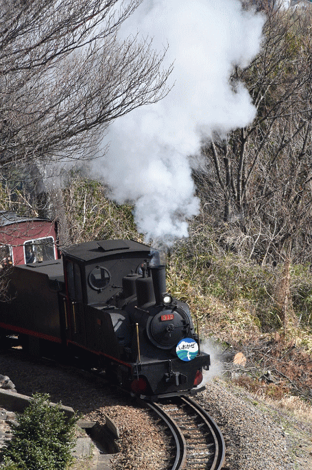 こどもの国のSL