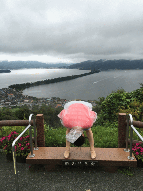 笠松公園から見る天橋立