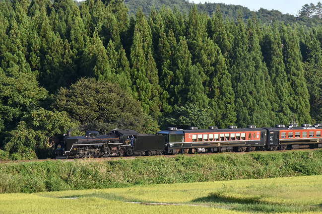 SLばんえつ物語号を撮影