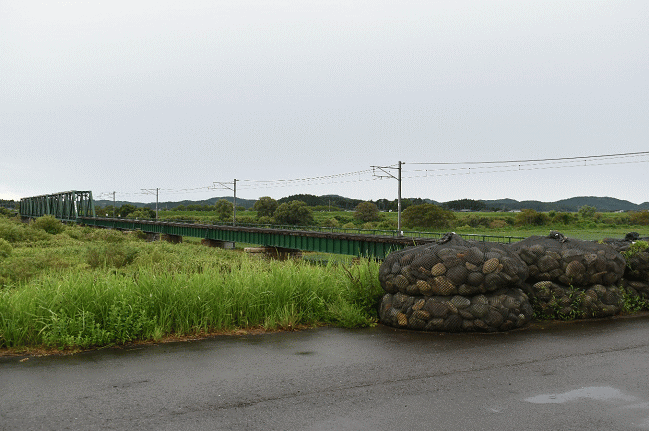 大河津分水堤防の撮影地