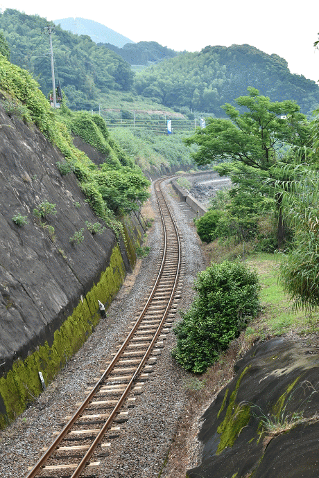 「お立ち台」の手前、千綿駅寄りのトンネルの坑口上付近