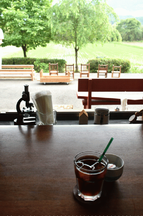 駅カフェ・久永屋の店内から見るホーム越しの田園風景