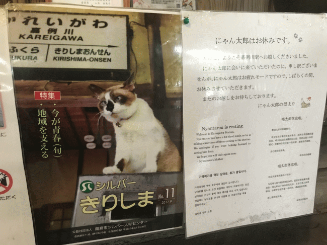 嘉例川駅のにゃん太郎