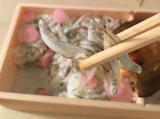 駅弁に使われる、氷魚