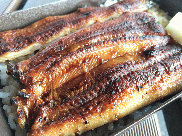清流うなぎ弁当の、炭火で焼き上げた三島の鰻