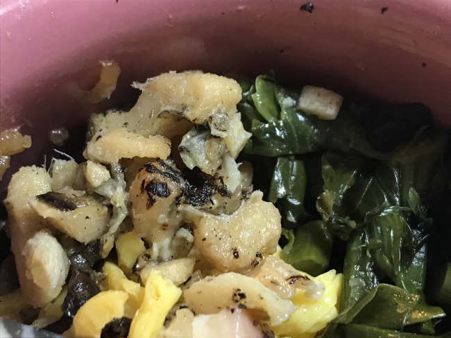 ハローキティ版ひっぱりだこ飯