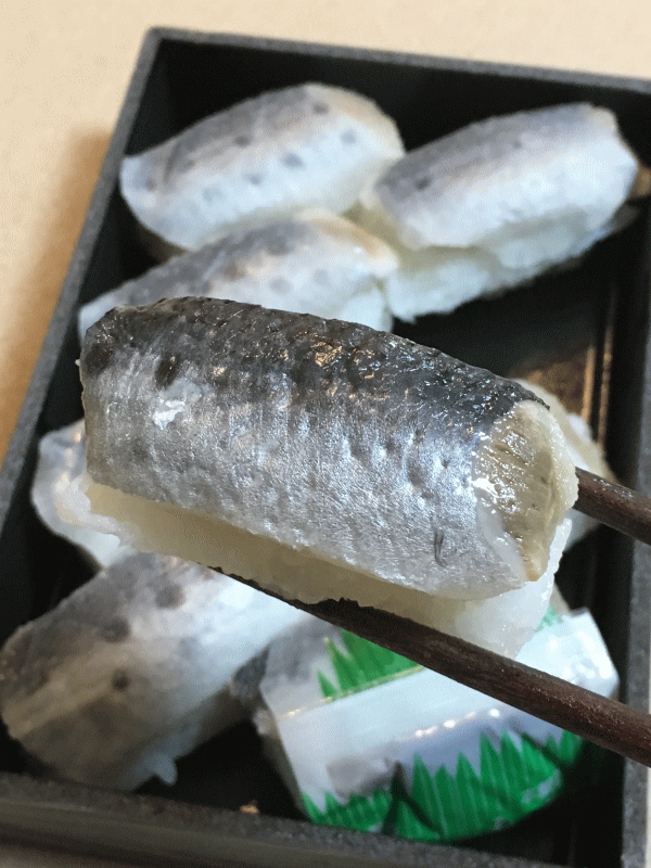 いわしのほっかぶりのいわし