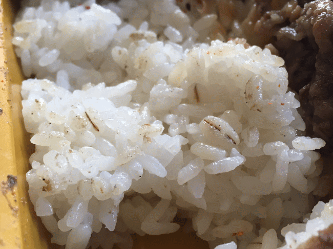 炙り牛たんとA5仙台牛弁当の麦めし