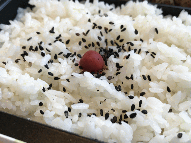 日向鶏べんとうのライス