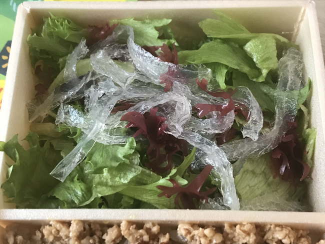 地鶏めし（松本駅）の生野菜サラダ