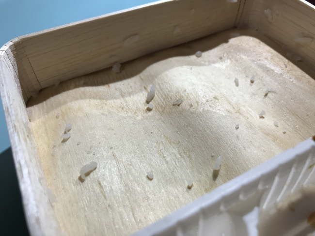 幕の内弁当（今治駅）の経木の駅弁容器