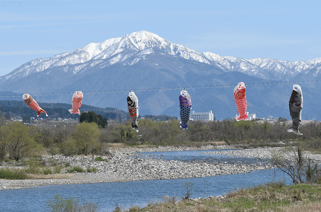 勝山橋から見た九頭竜川と荒島岳