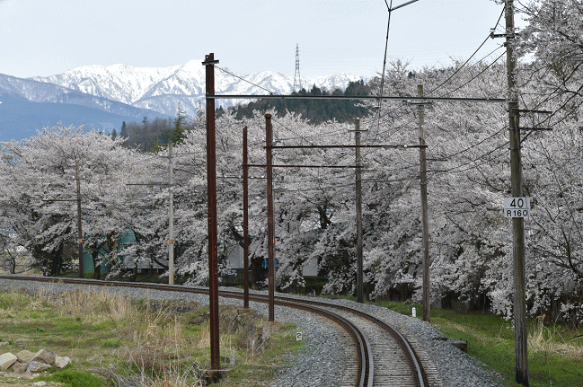 保田駅の勝山側のえちぜん鉄道の撮影名所