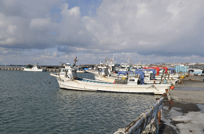 羽幌の漁港