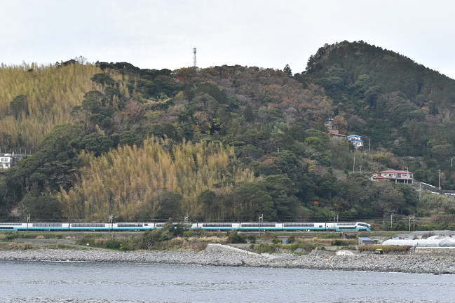 スーパービュー踊り子2号（稲取銀水荘から）