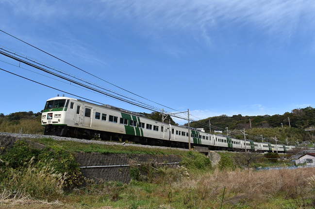 踊り子107号（志津摩の踏切）