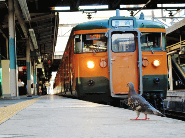高崎駅と115系電車