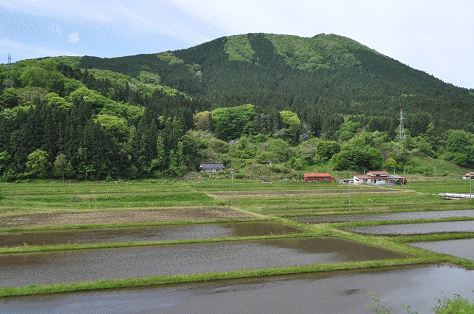 上石見駅ホームからの伯備線の風景