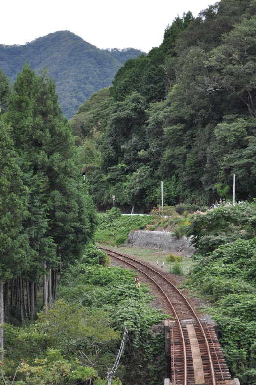 浜原駅集落の外れから、三江線を望む