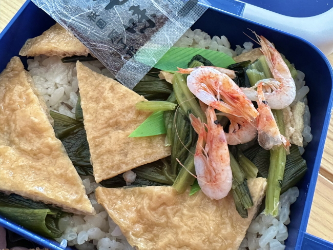 寝台急行テールマーク弁当銀河のご飯