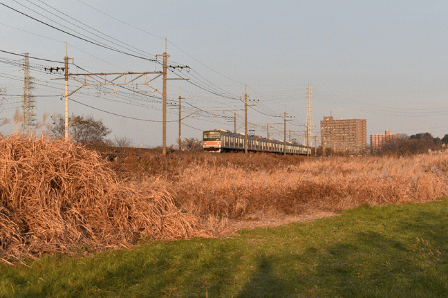 東浦和駅から徒歩数分の撮影地