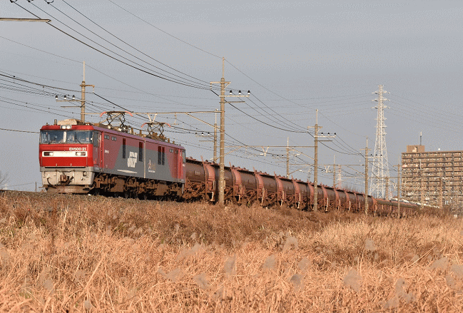東浦和の撮影地で安中貨物