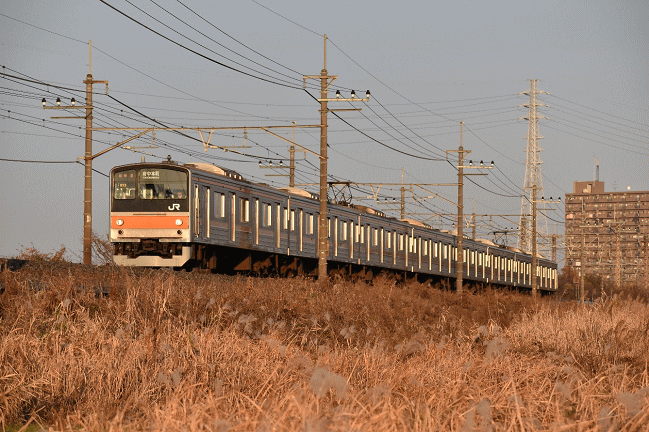 東浦和の撮影地で武蔵野線を撮影