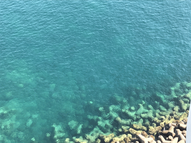 サンハトヤから望む海の色