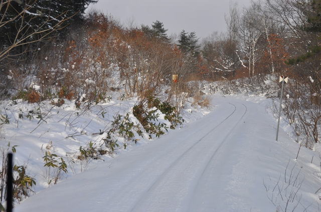 松尾八幡平~安比高原間、花輪線の車窓