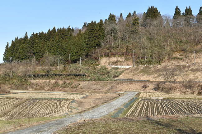 内ヶ巻駅から東（越後川口方面）へ約500ｍのところの撮影地