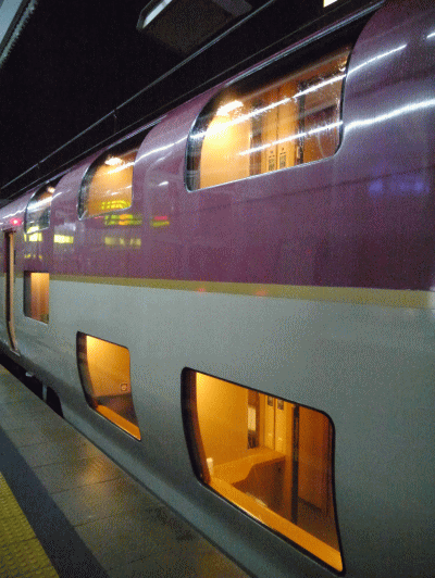 サンライズ出雲「シングル」を外から見た様子