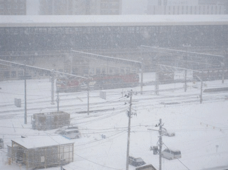 貨物列車の写真