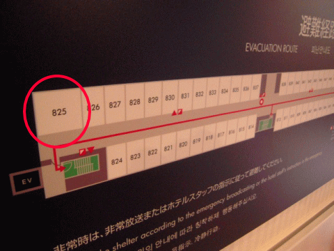 825号室こそ、最高峰のトレインビュー