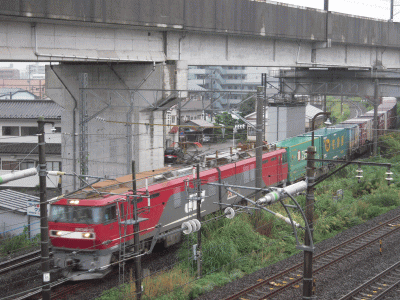 貨物専用線から姿を現す、東北本線の貨物列車