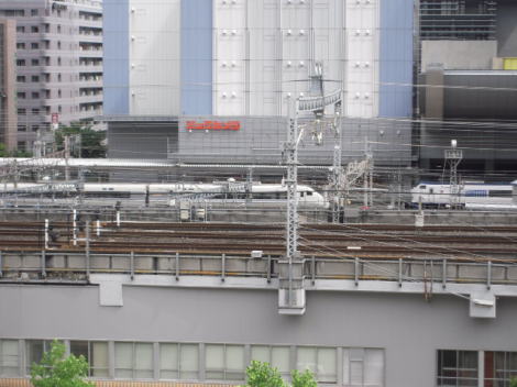 はるかとサンダーバード