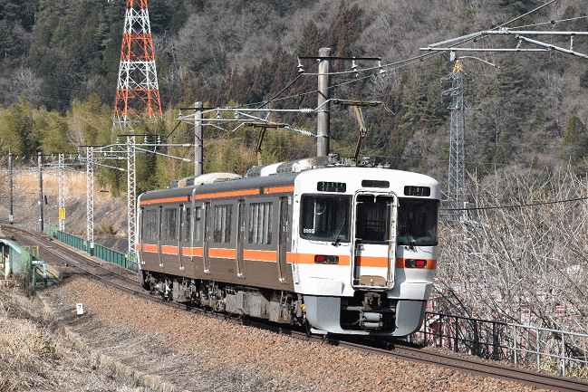 313系（伊奈川鉄橋の撮影地にて）