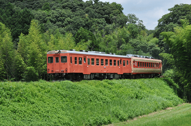夷隅川鉄橋手前の築堤の撮影地より、キハ52＋キハ28を撮影