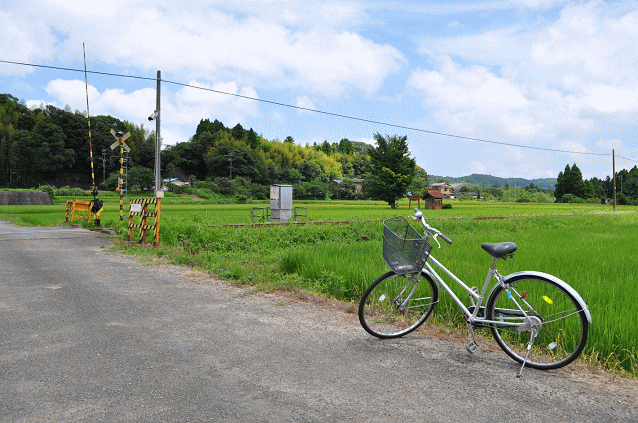 祠ポイントの南西側から見た撮影地の様子