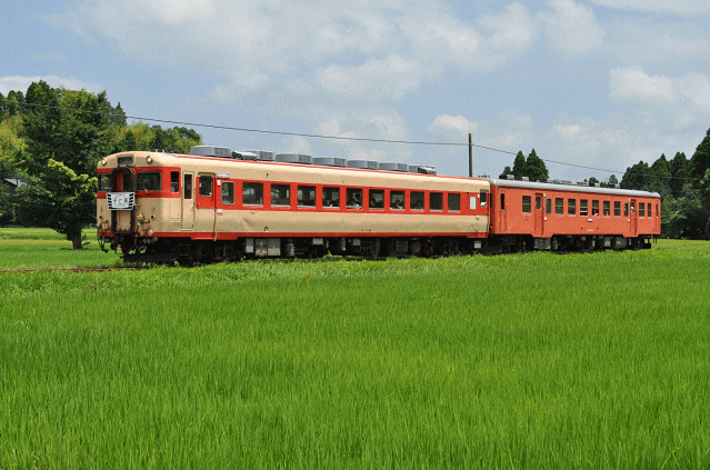 祠ポイント南西側よりキハ28＋キハ52を撮影