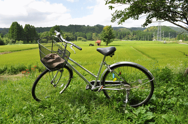 いすみ鉄道の祠ポイントにて
