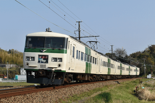 特急「踊り子114号」東京行