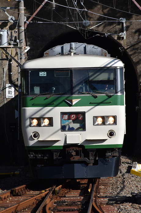 伊豆稲取駅に到着する特急踊り子