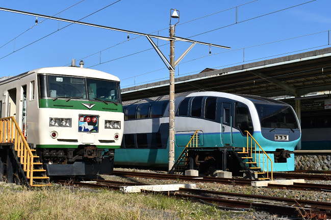 251系スーパービュー踊り子と185系踊り子の並び（伊豆急下田）