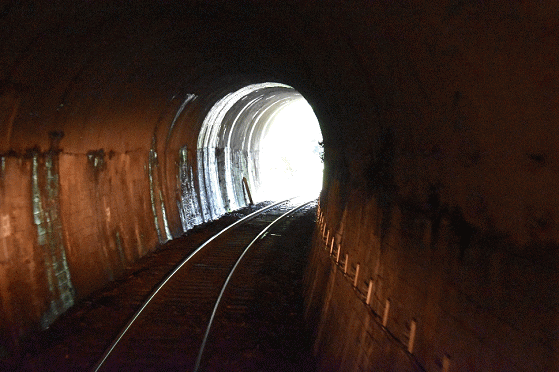 奥出雲おろち号の車内からトンネル区間をかぶりつき
