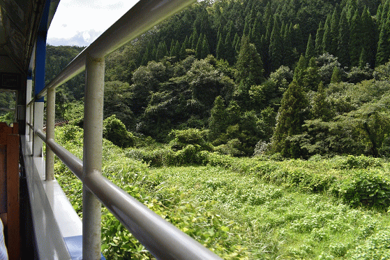 奥出雲おろち号のトロッコ列車からの眺め