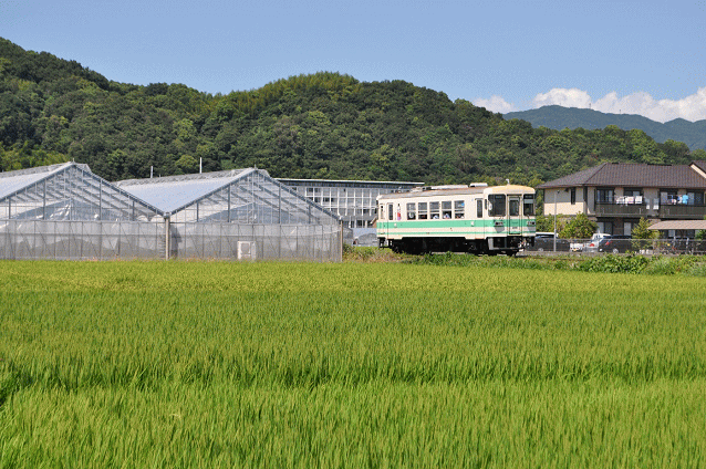 学門駅近くにて紀州鉄道のＫＲ３０１を撮影