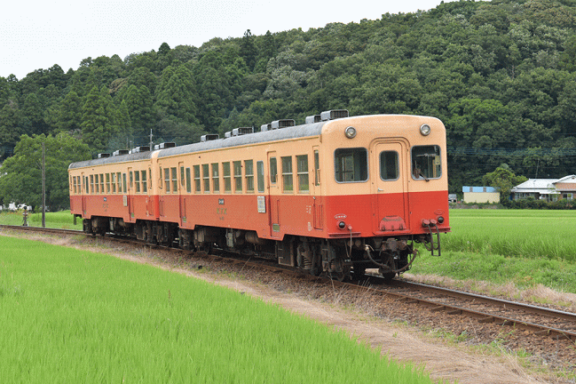 小湊鉄道を撮影