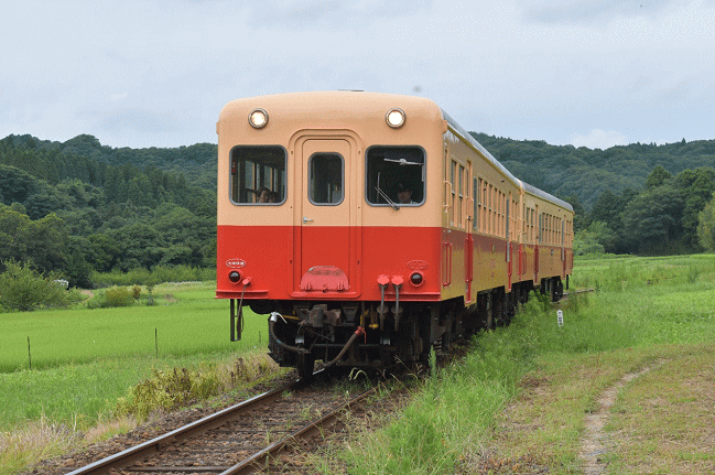 小湊鉄道(菜の花撮影地にて)